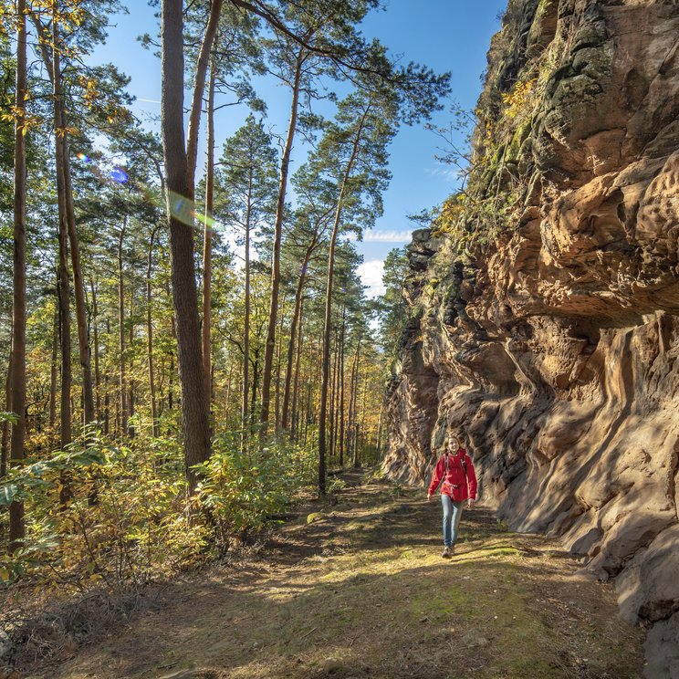 Eine Wanderin vor eine Felswand im Wald im Biosphärenreservat Pfälzerwald-Nordvogesen