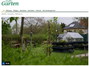 Screenshot der mdr-Garten Website mit dem Videotitelbild der Klimastation in Leipzig.