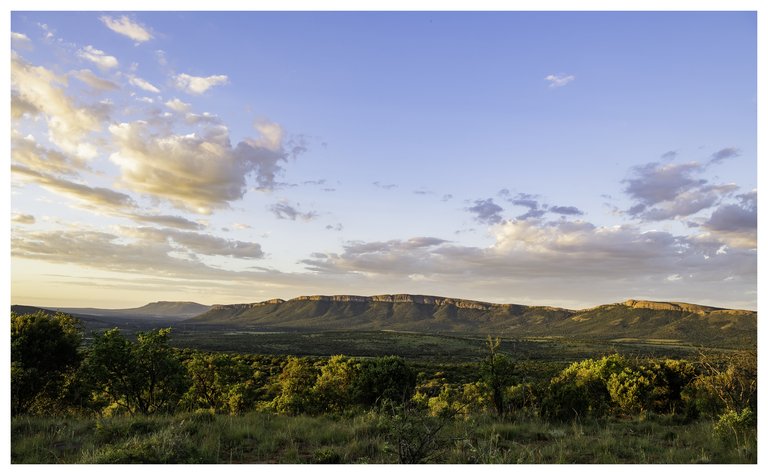 Blick in das Biosphärenreservat Magaliesberg in der Abenddämmerung. Der Himmel ist noch blau, im Vordergrund sind einige Gräser und Sträucher zu sehen. Im Hintergrund sind Felsformationen der Magaliesberge.  