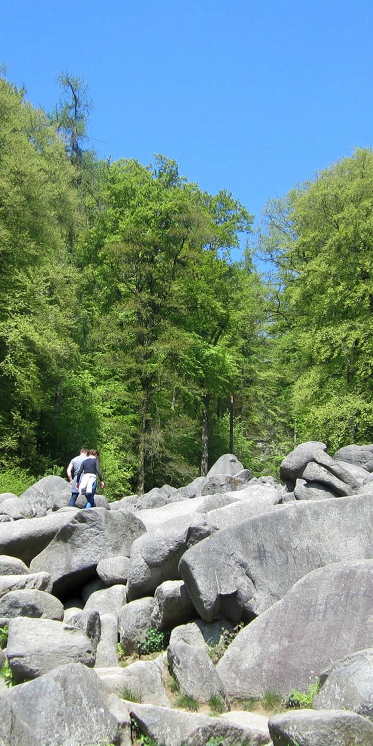 Foto vom Felsenmeer im Lautertal