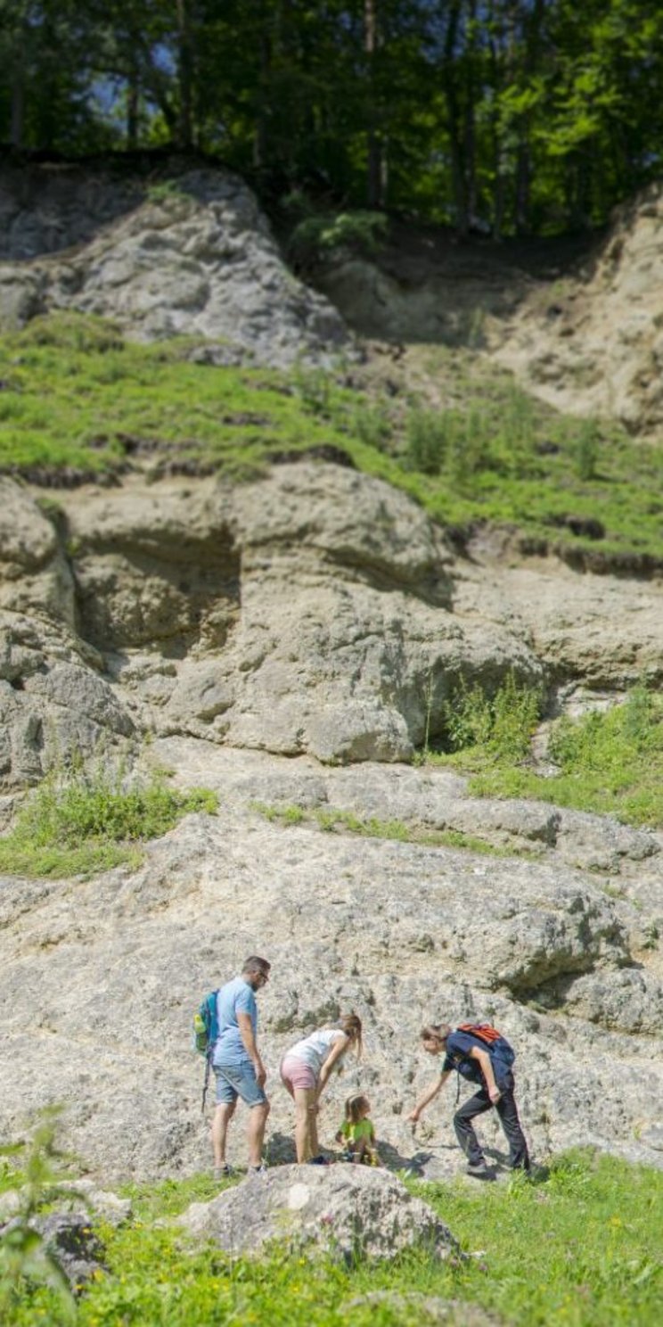 Auflässiger Steinbruch im Geopark Ries