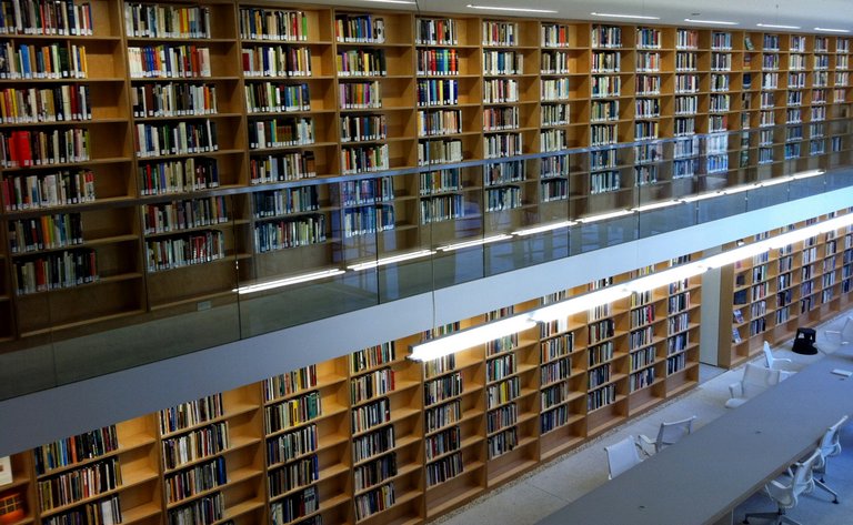 Großes Bücherregal in einer Bibliothek