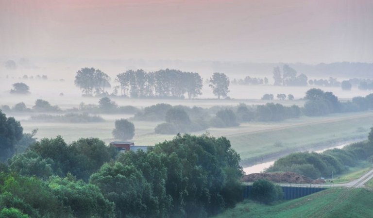 Morgenstimmung über der Elbe