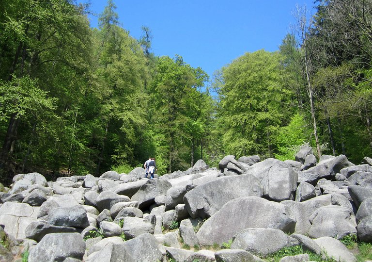 Natur erleben im UNESCO Geopark Bergstraße Odenwald