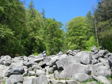 Natur erleben im UNESCO Geopark Bergstraße Odenwald