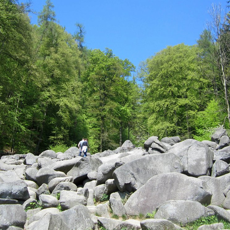 Natur erleben im UNESCO Geopark Bergstraße Odenwald