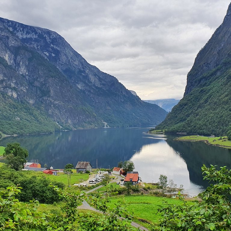 Blick in den Nærøyfjord, Norwegen