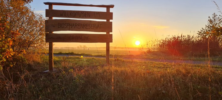 Sonnenaufgang im Biopshärenreservat Drömling