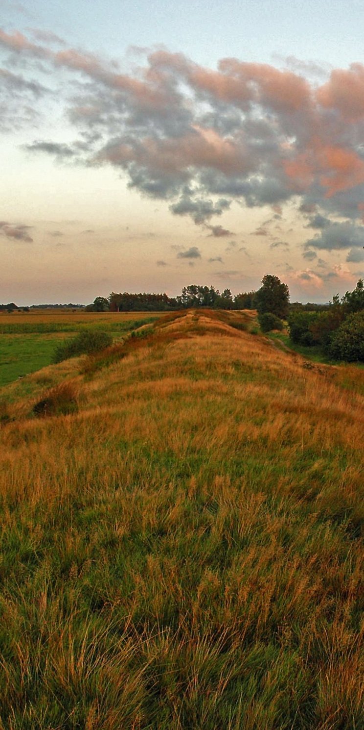 Blick vom Krummwall des Danewerks nach Osten