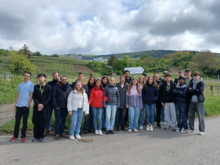 Alle Teilnehmenden des Klimacamps stehen vor einem Feld von Weinreben.