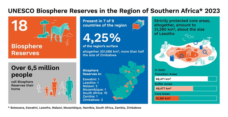 Die Infografik gibt einen aktuellen Überblick über die UNESCO-Biosphärenreservate in der Region Südliches Afrika. Dazu gehören aktuell 18 Biosphärenreservate in Botswana, Eswatini, Lesotho, Malawi, Mosambik, Südafrika, Sambia und Simbabwe. Südafrika verfügt mit 10 Biosphärenreservaten über den größten Anteil an Biosphärenreservaten in der Region. Mehr als 6,5 Millionen Menschen leben in Biosphärenreservaten. Die streng geschützten Kernzonen aller Biosphärenreservate im Südlichen Afrika entsprechen der Größe von Lesotho. Die Pflegezonen, in denen Forschungsaktivitäten stattfinden, erstrecken sich über 49.477 Quadratkilometer. Die Entwicklungszone, in der nachhaltige wirtschaftliche Aktivitäten und Tourismus stattfinden, bildet mit 68.471 Quadratkilometer den größten Anteil der Biosphärenreservate.  