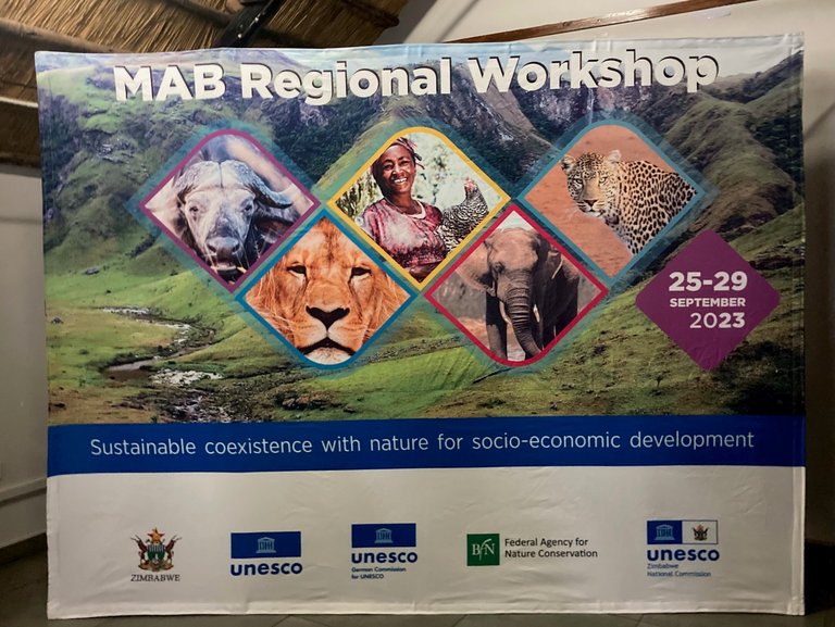 Offizielles Plakat des MAB Regionalworkshops in Simbabwe, der im September 2023 stattfand. Das Plakat zeigt im unteren Teil die Logos der Organisatoren und Unterstützer (u.a. Deutsche UNESCO-Kommission und Bundesamt für Naturschutz) und im oberen Teil eine Bildkomposition aus afrikanischen Tierarten (Löwe, Elefant, Gepard, Büffel) sowie eine lächelnde Frau in der Mitte. Hintergrund der Bildkomposition bildet eine Naturlandschaft aus Gräsern und Felsen. 