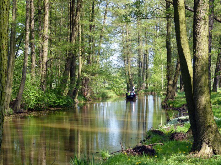 Fließ und Kahn im UNESCO-Biosphärenreservat Spreewald