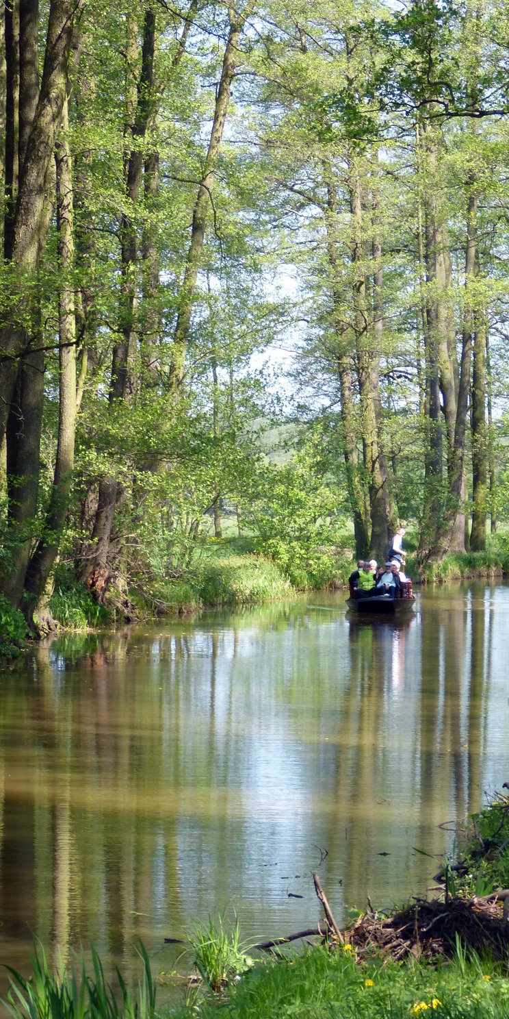 Fließ und Kahn im UNESCO-Biosphärenreservat Spreewald